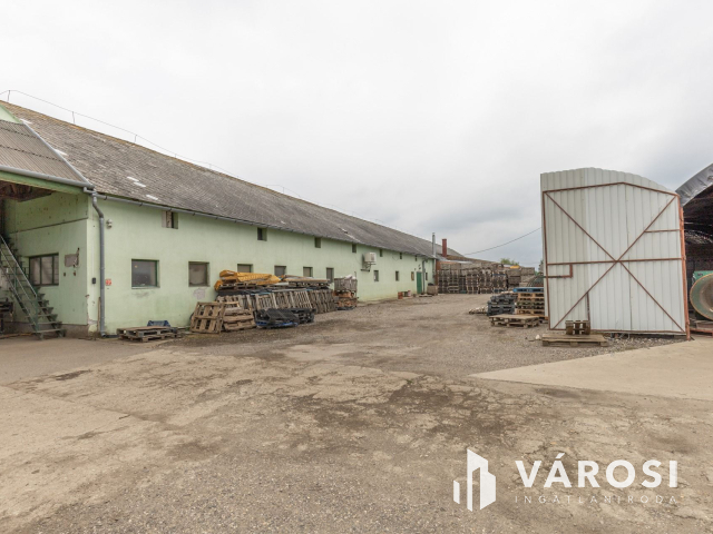 Makói, mezőgazdasági tanya/telephely eladó!