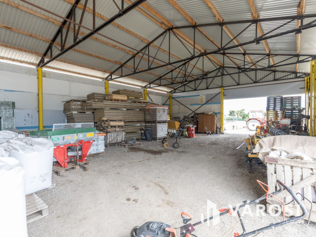 Makói, mezőgazdasági tanya/telephely eladó!