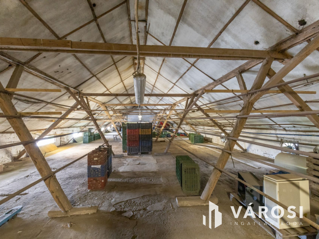 Makói, mezőgazdasági tanya/telephely eladó!