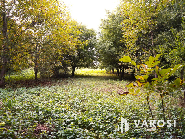 Győr Révfaluban 2 telek egyben eladó!
