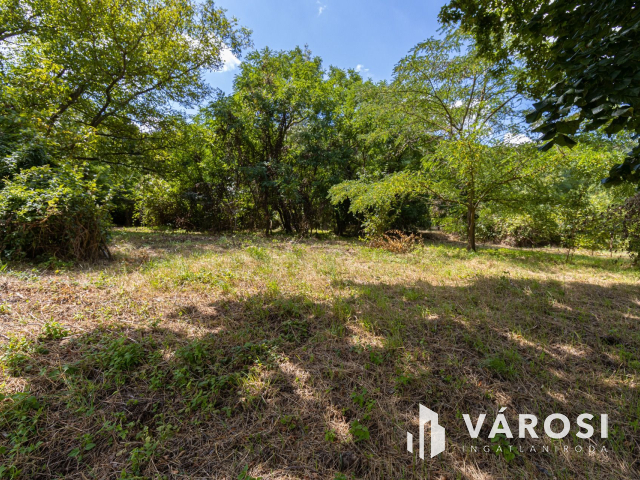 Pilismaróton, belterületi telek, most akciós áron eladó