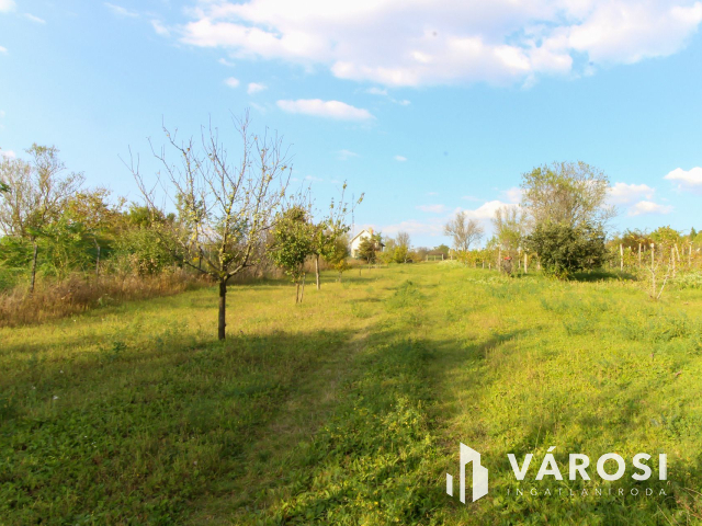 Belterületi nagyméretű telek présházzal és szőlővel Únyon