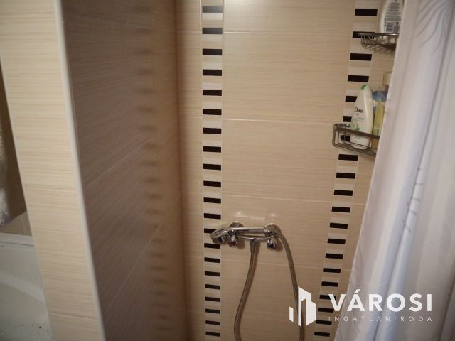 Szatymazi családi ház erdővel!