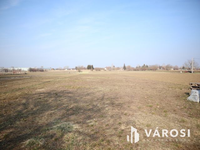 Eladó telek Szőreg kiváló részén!