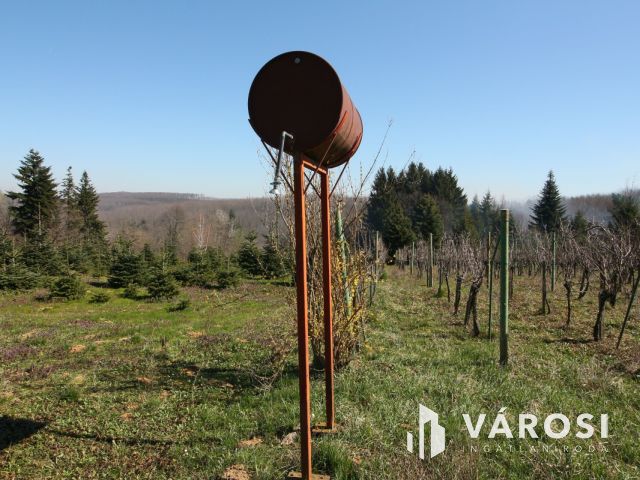 Nagykanizsa közelében csodálatos birtok, lakható épülettel