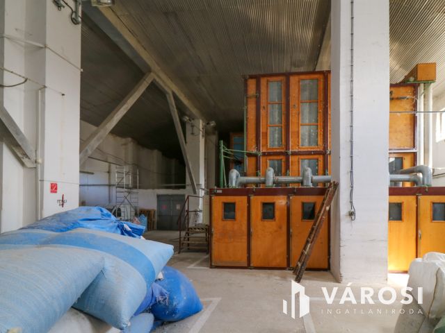 Eladó ipari ingatlan – nagy terekkel és saját kúttal!