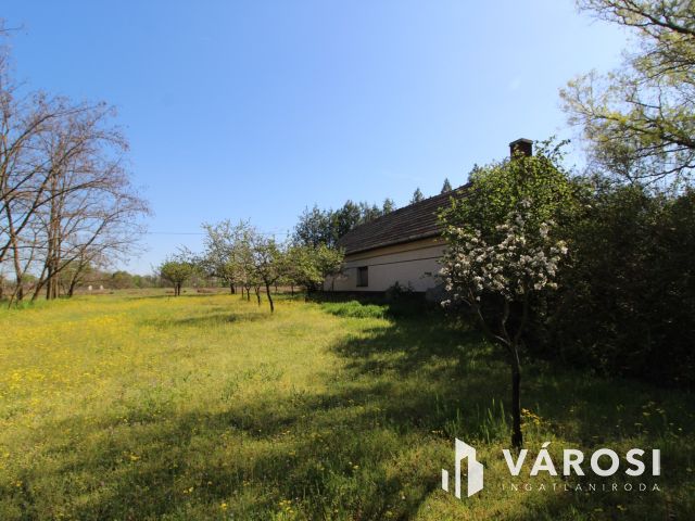 Komfortos tanya a Csongrád-bokrosi szőlővidéken