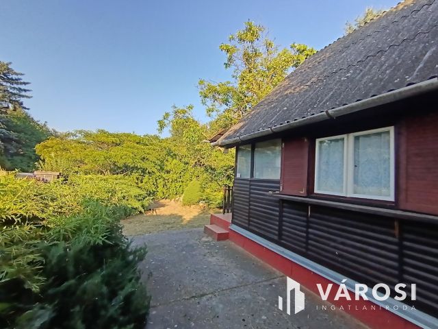 Vizparthoz közeli nyaraló eladó Dömsödön Pest megyében!