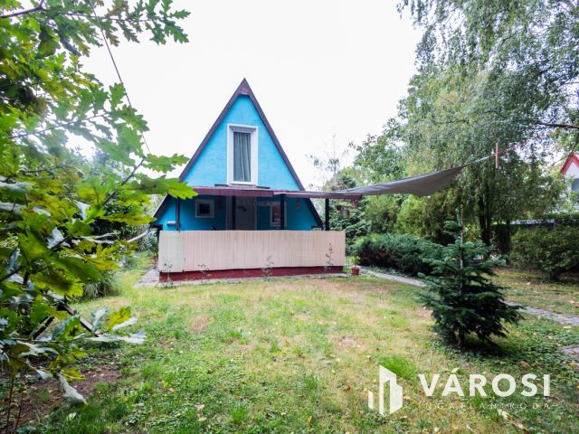 Kisház az erdő mellett