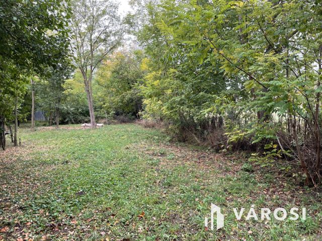 Egy telek, ahol valóban lelassul az idő.