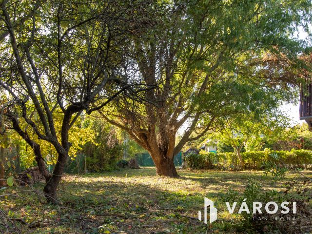 Patakparti építési telek Tinnyén – csak készpénzes vevőknek