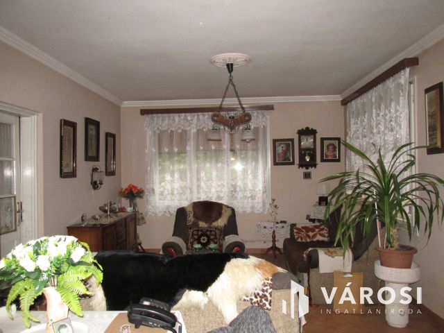 Eladó családi ház Érsekvadkerten csendes környezetben!