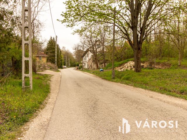 Zártkerti telek vízzel + árammal  Máriahalmon– ne hagyd ki!